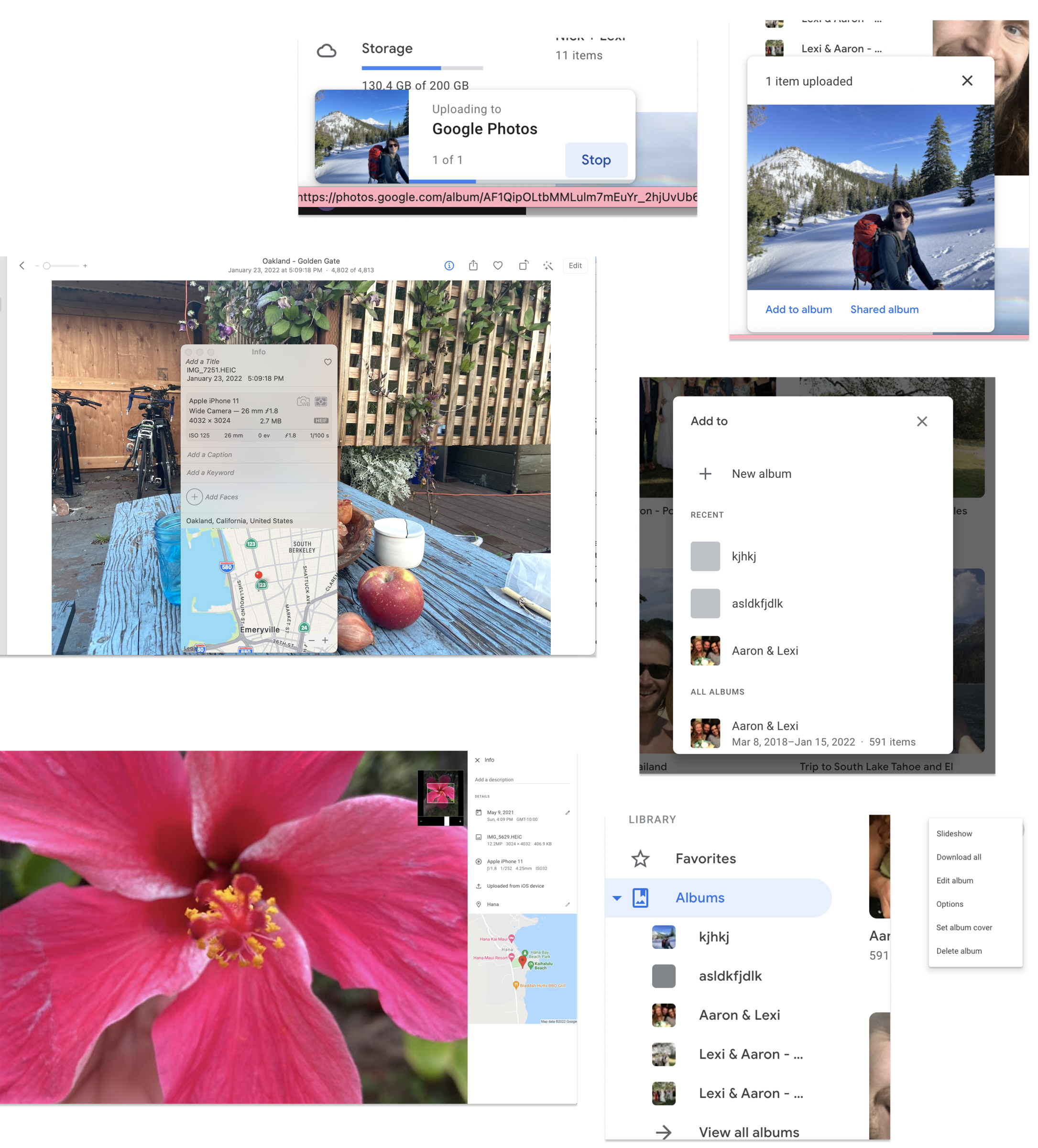 A collage of screenshots from Apple Photos and Google Photos showing UX patterns referenced for inspiration.